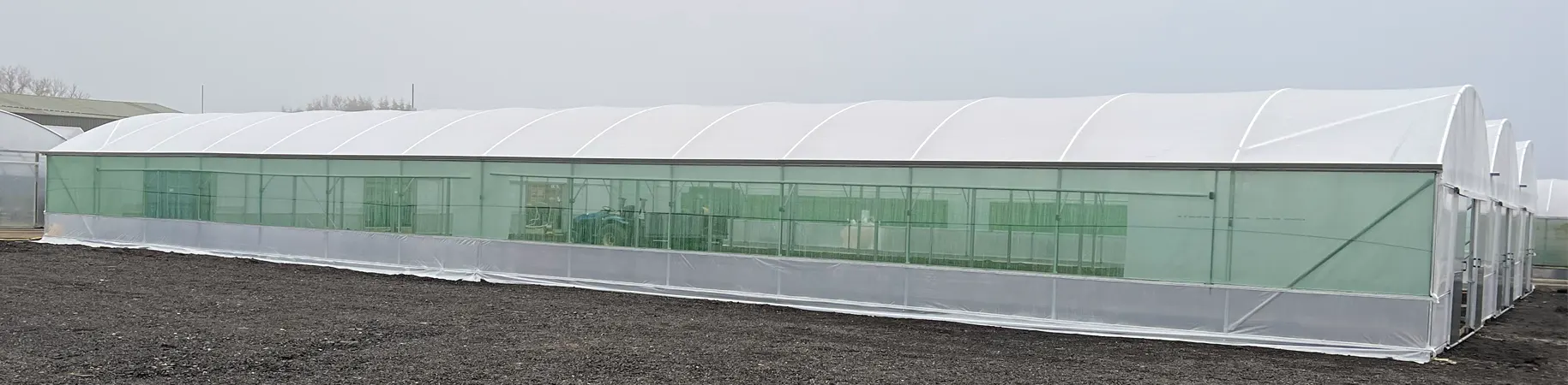 polytunnel